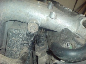 ��� �������� �������� ���� ��� �������